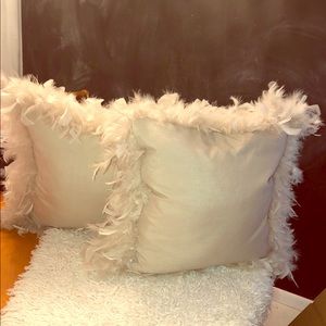 2 down luxury throw pillows